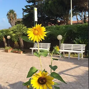 Fiori Gialli Caucana Couette-café Santa Croce Camerina